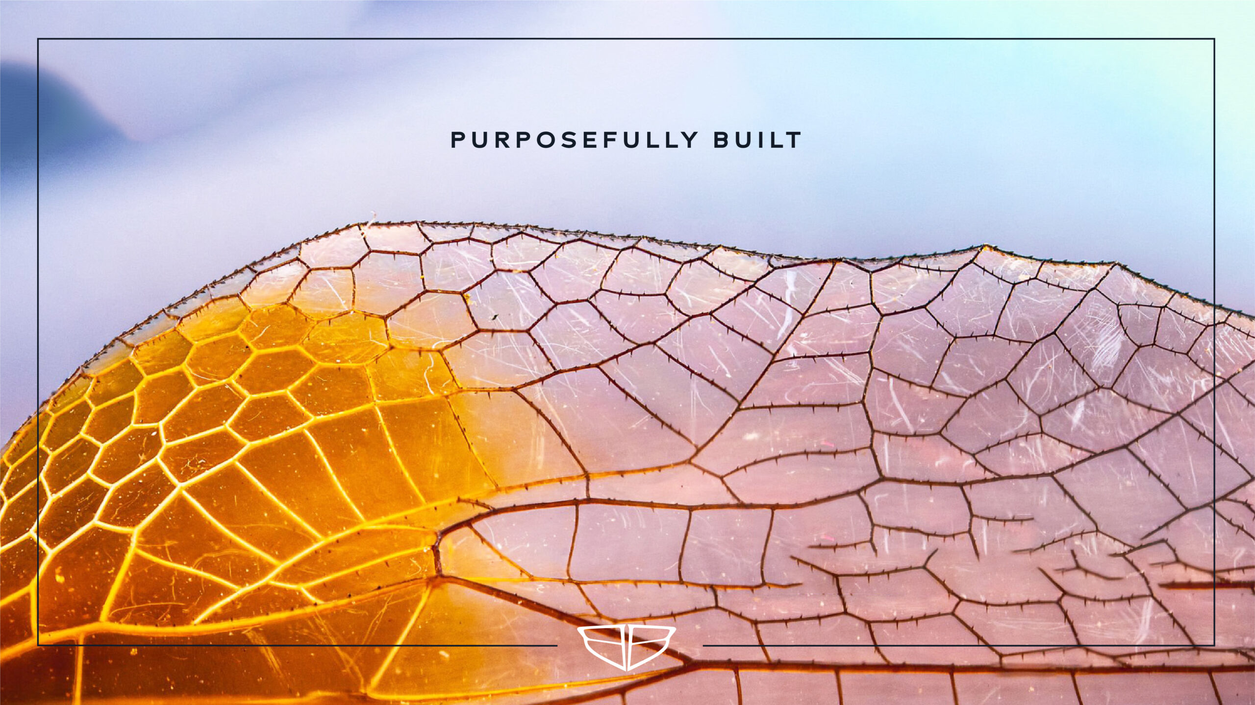 boatworks-brandboards_7